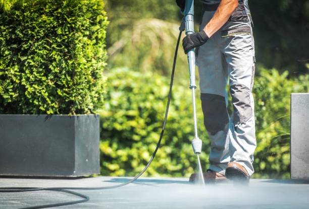 Best Machinery and Equipment Cleaning  in Palm Harbor, FL