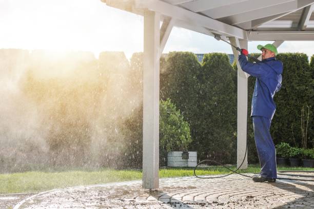 Best Boat and Dock Cleaning  in Palm Harbor, FL
