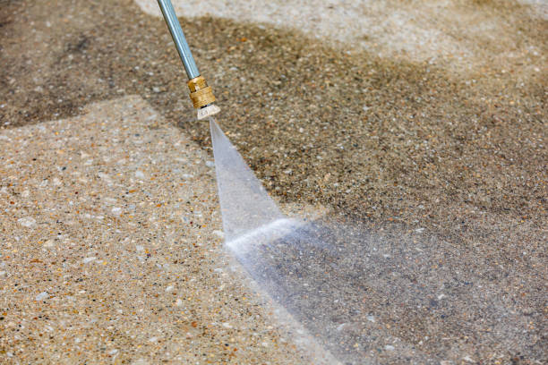 Best Pool Deck Cleaning  in Palm Harbor, FL