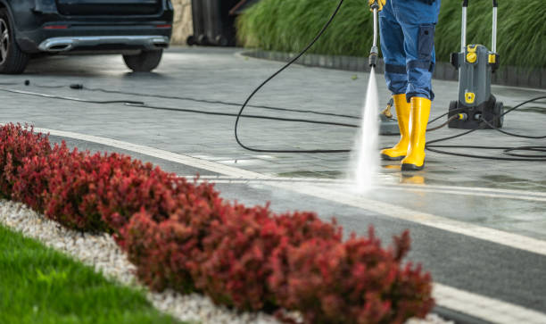 Best Dumpster Area Cleaning  in Palm Harbor, FL