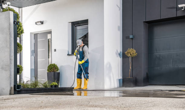 Best Historic Building Restoration  in Palm Harbor, FL